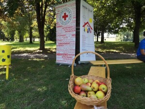 225357561_4100510426710825_1036825586991325489_n