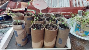 276197425_4863441470417713_1133695988516740082_n